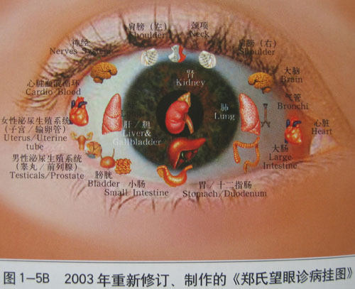 中医望眼辨证图解pdf